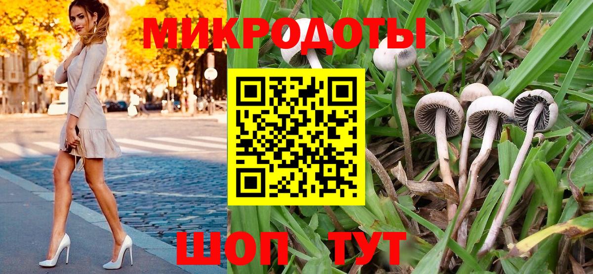 Псилоцибиновые грибы GOLDEN TEACHER  Вход с VPN  Ярцево 