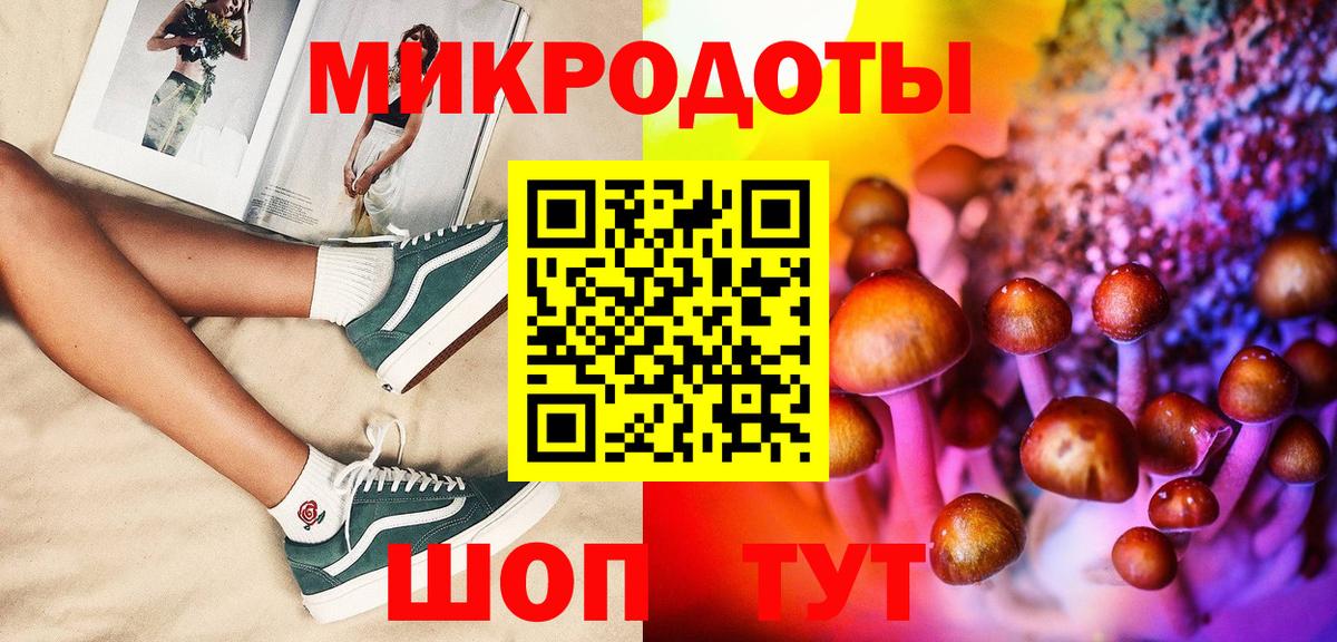 Галлюциногенные грибы Psilocybine cubensis Ярцево